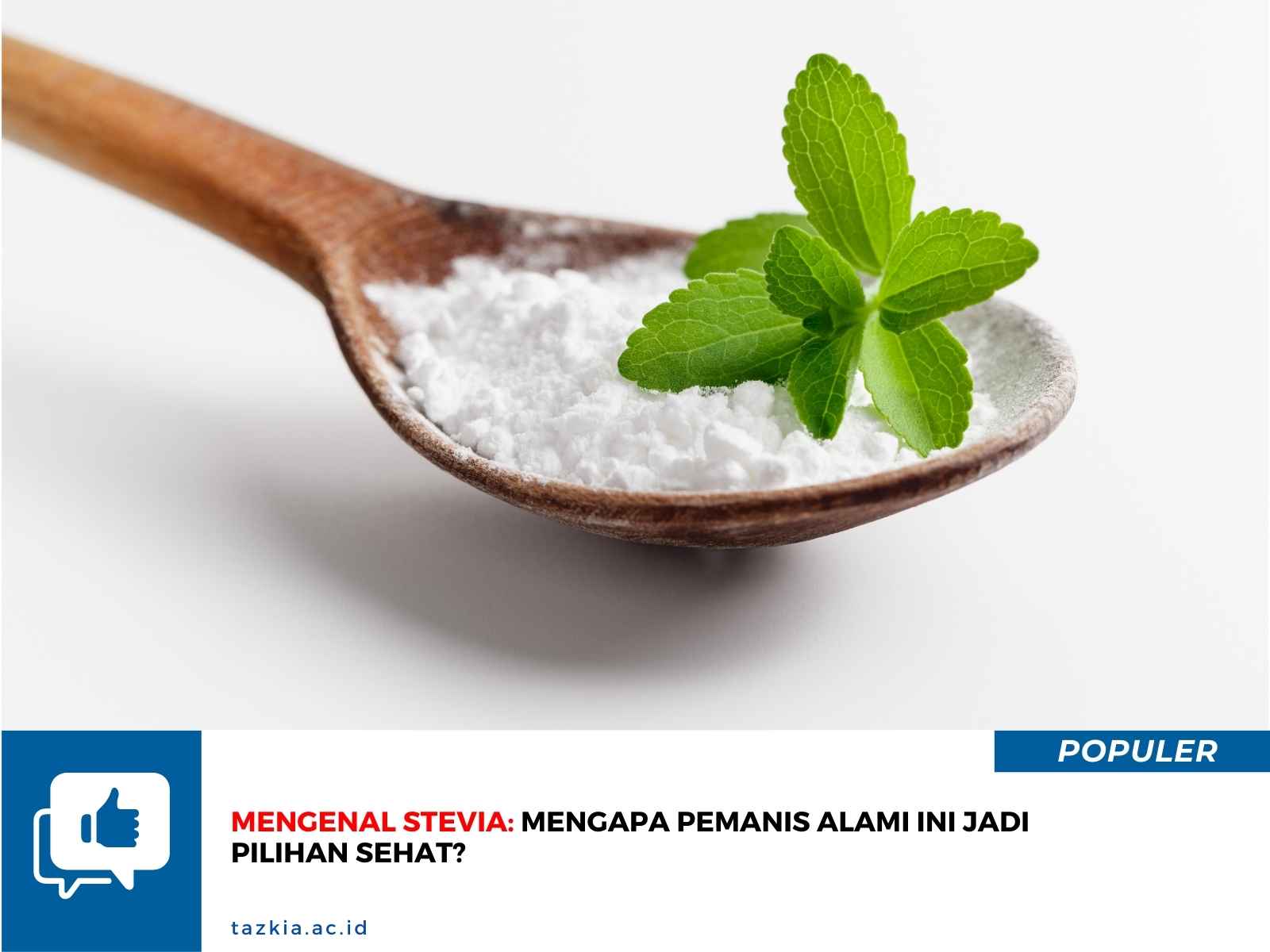 Mengenal Stevia Mengapa Pemanis Alami Ini Jadi Pilihan Sehat