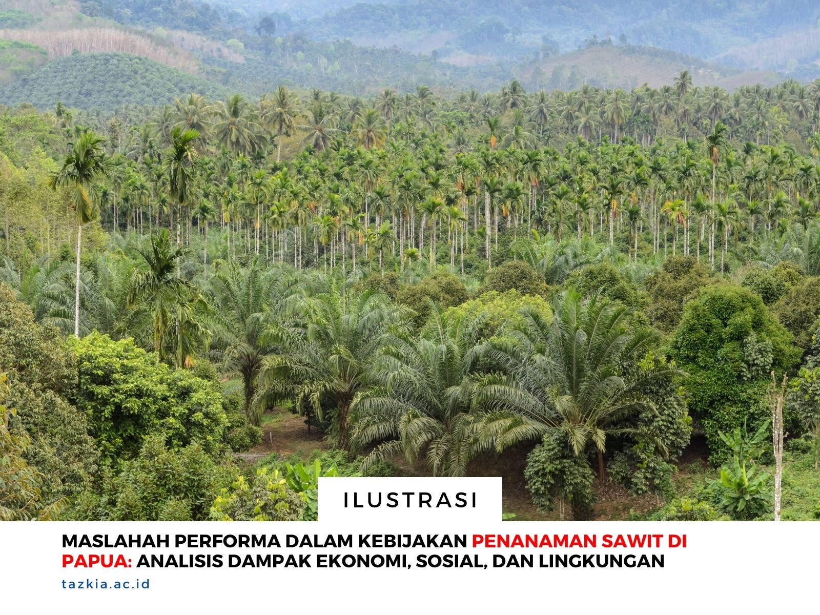 Pahami Siklon Tropis Pengertian Penyebab dan Dampaknya bagi Kita