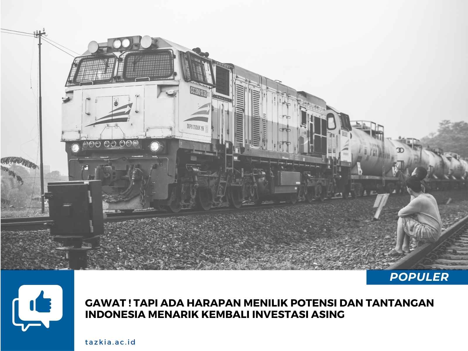 Gawat tapi Ada Harapan Menilik Potensi dan Tantangan Indonesia Menarik Kembali Investasi Asing