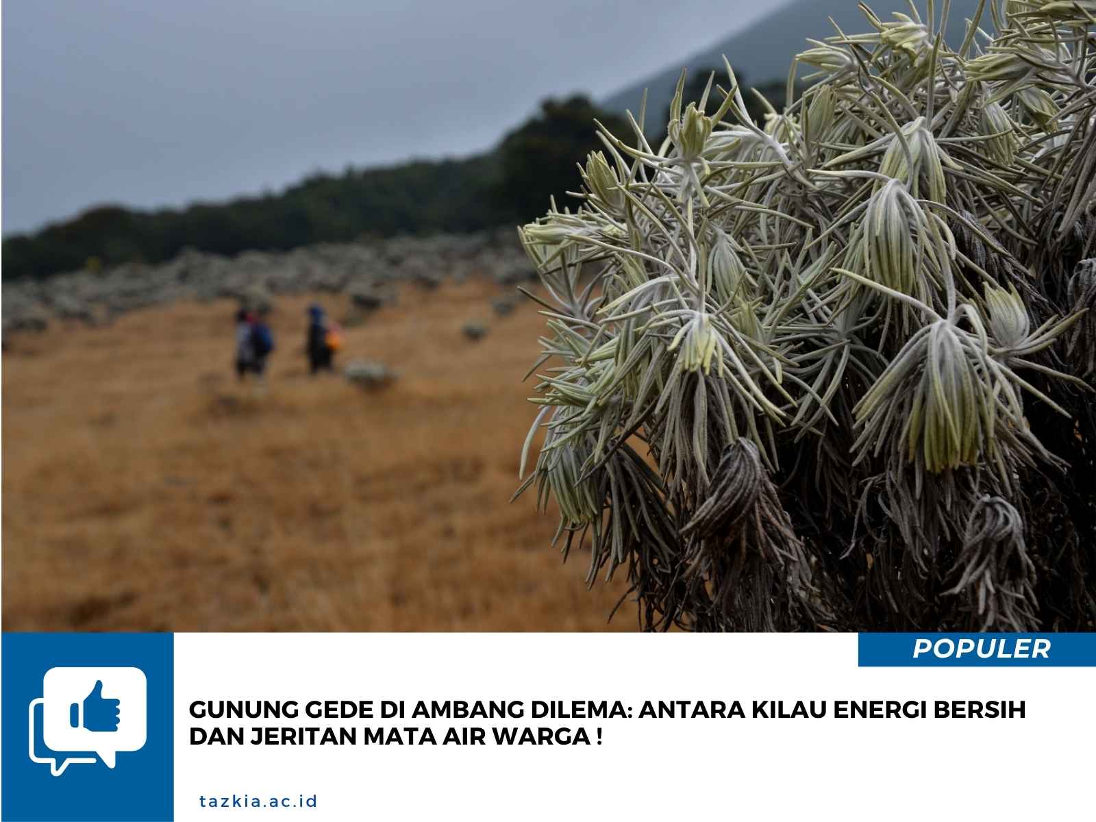 Gunung Gede di Ambang Dilema Antara Kilau Energi Bersih dan Jeritan Mata Air Warga 