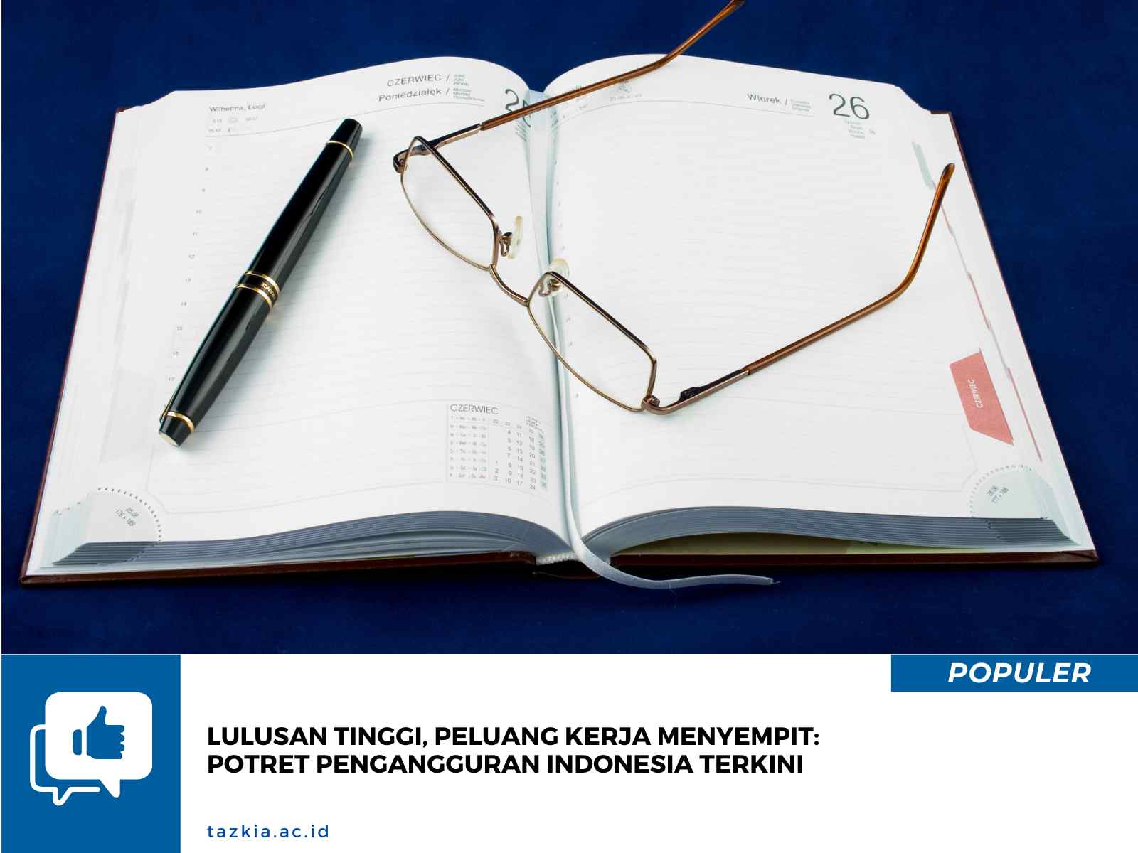 Lulusan Tinggi Peluang Kerja Menyempit Potret Pengangguran Indonesia Terkini