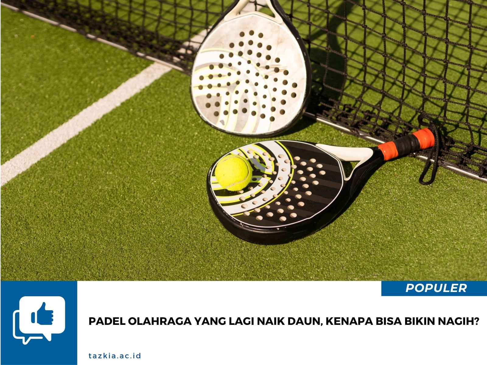 Padel Olahraga yang Lagi Naik Daun Kenapa Bisa Bikin Nagih
