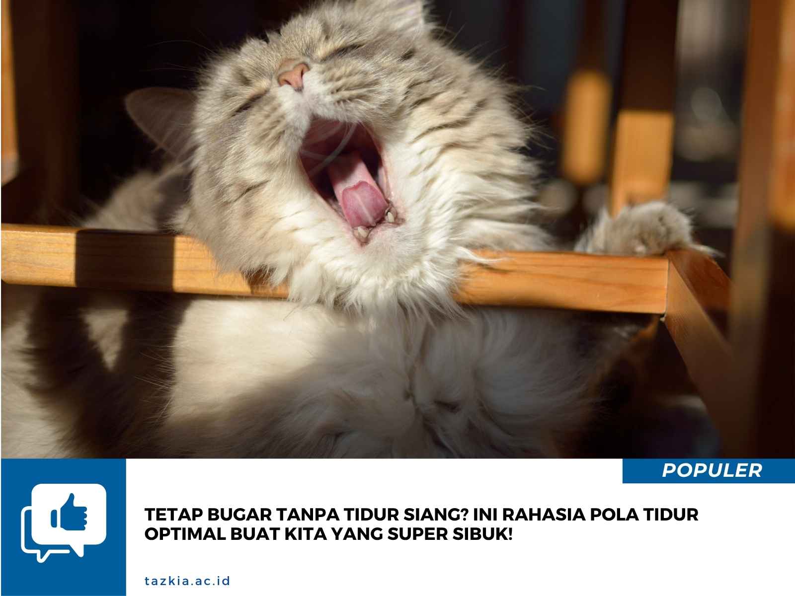 Tetap Bugar Tanpa Tidur Siang Ini Rahasia Pola Tidur Optimal buat Kita yang Super Sibuk