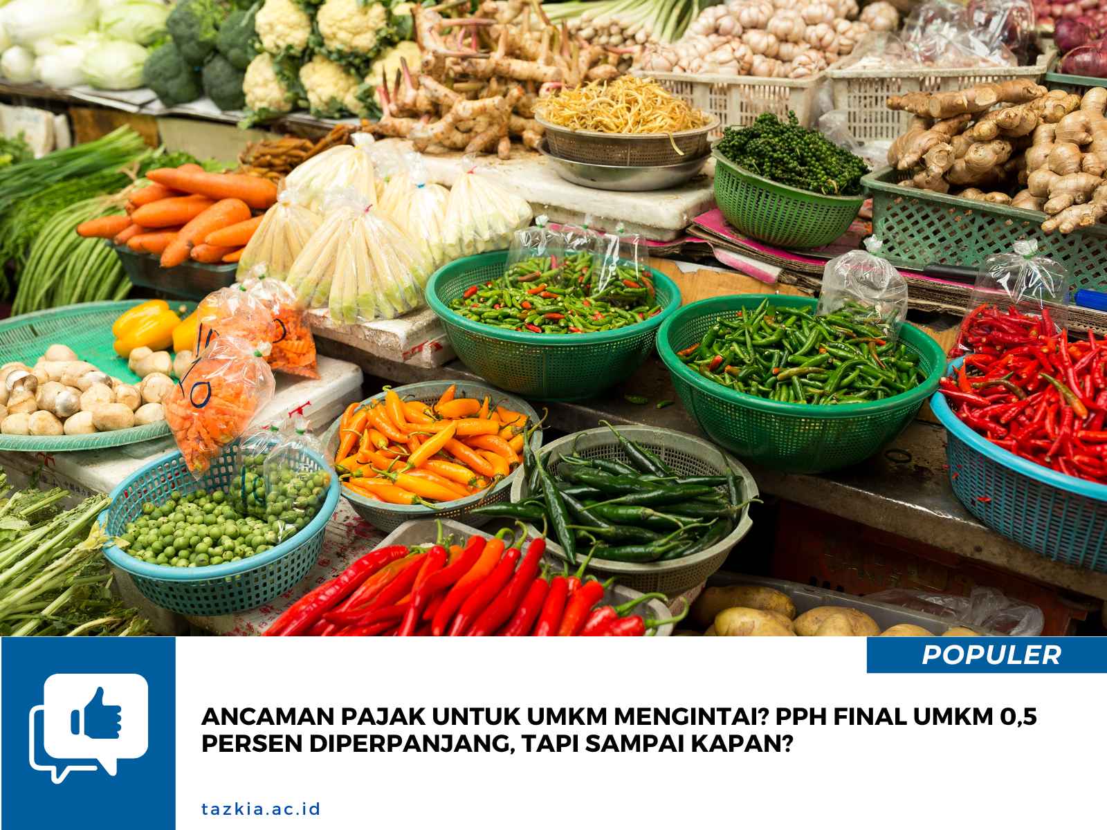 Ancaman Pajak Untuk UMKM Mengintai PPh Final UMKM 05 Persen Diperpanjang Tapi Sampai Kapan