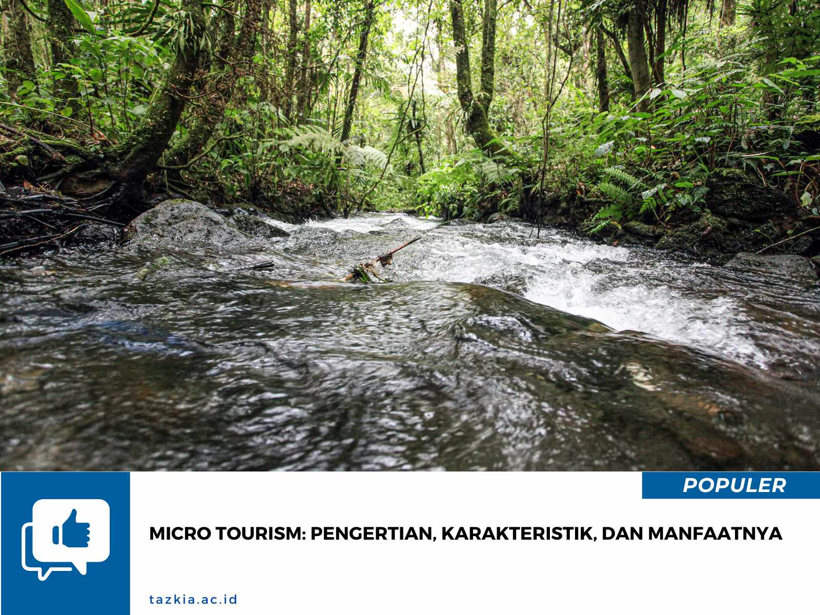 Micro Tourism Pengertian Karakteristik dan Manfaatnya