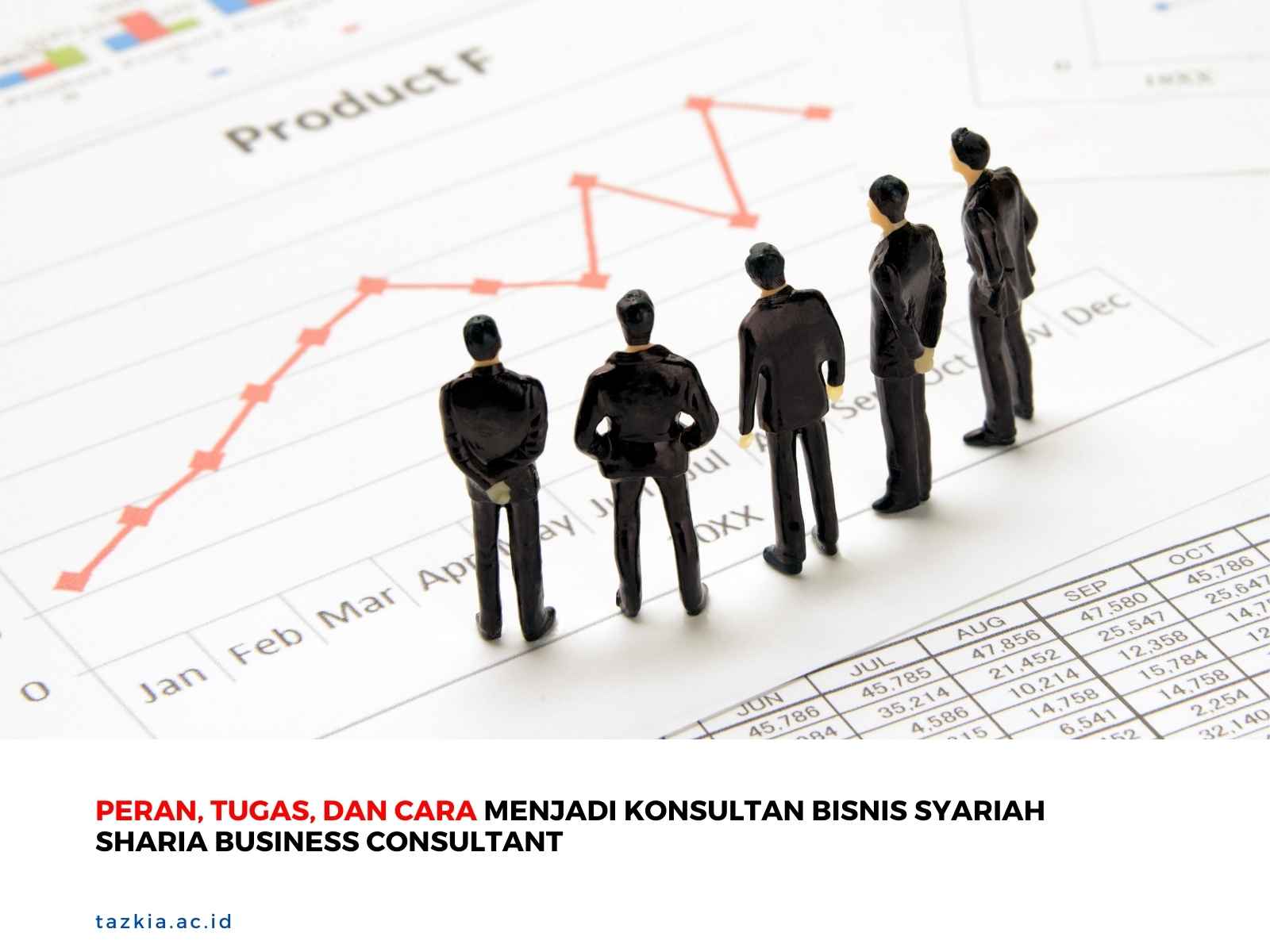 Peran Tugas dan Cara Menjadi Konsultan Bisnis Syariah Sharia Business Consultant