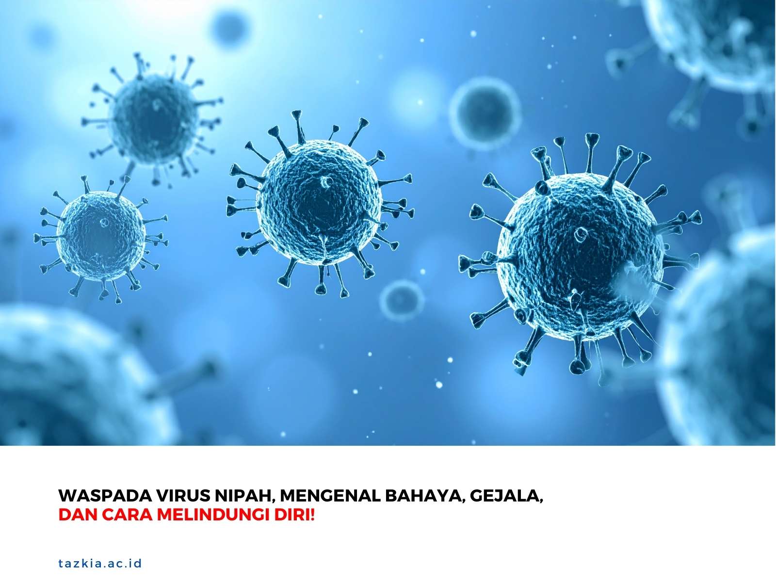 Waspada Virus Nipah Mengenal Bahaya Gejala dan Cara Melindungi Diri