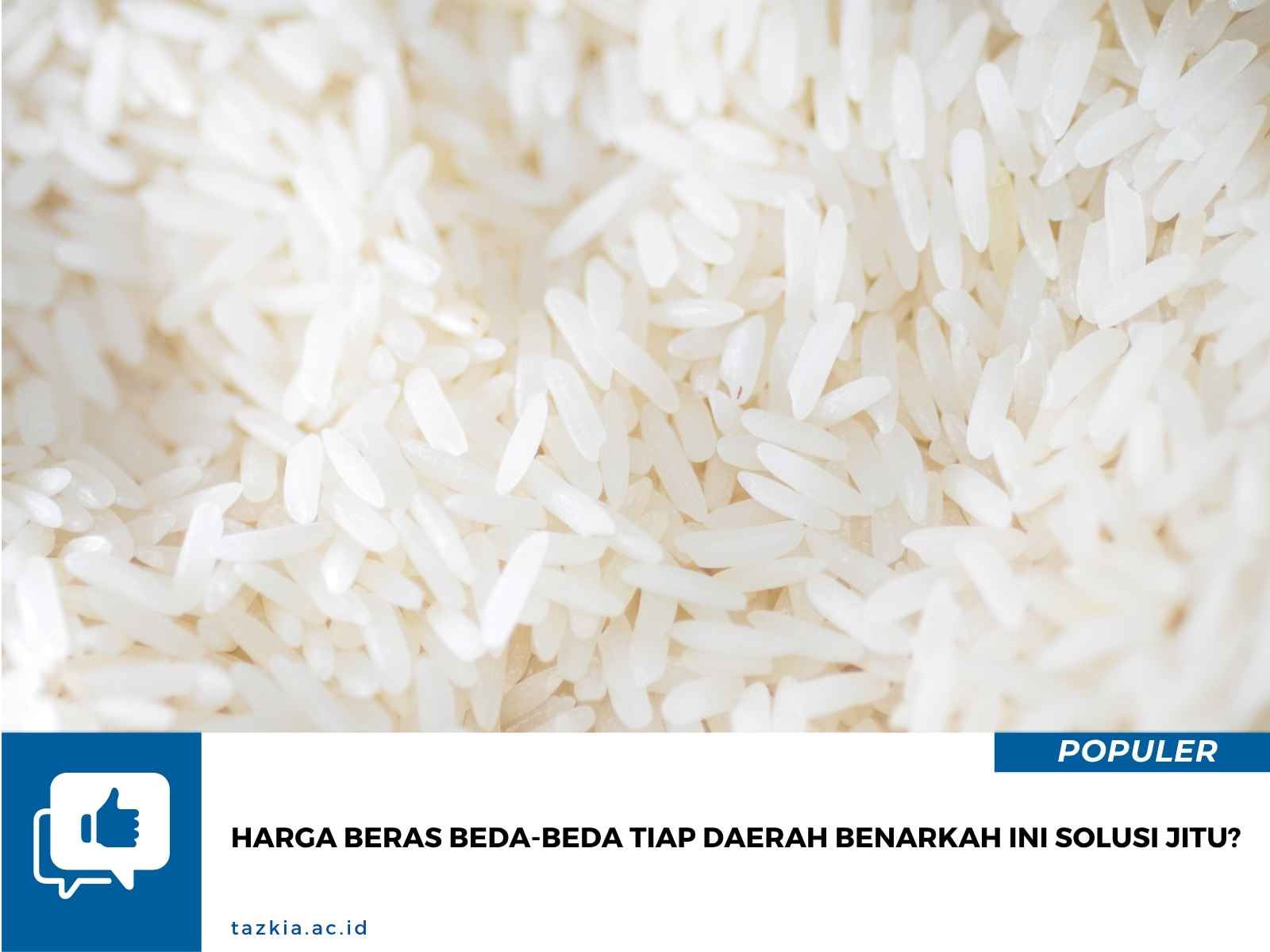 Harga Beras Beda beda Tiap Daerah Benarkah Ini Solusi Jitu