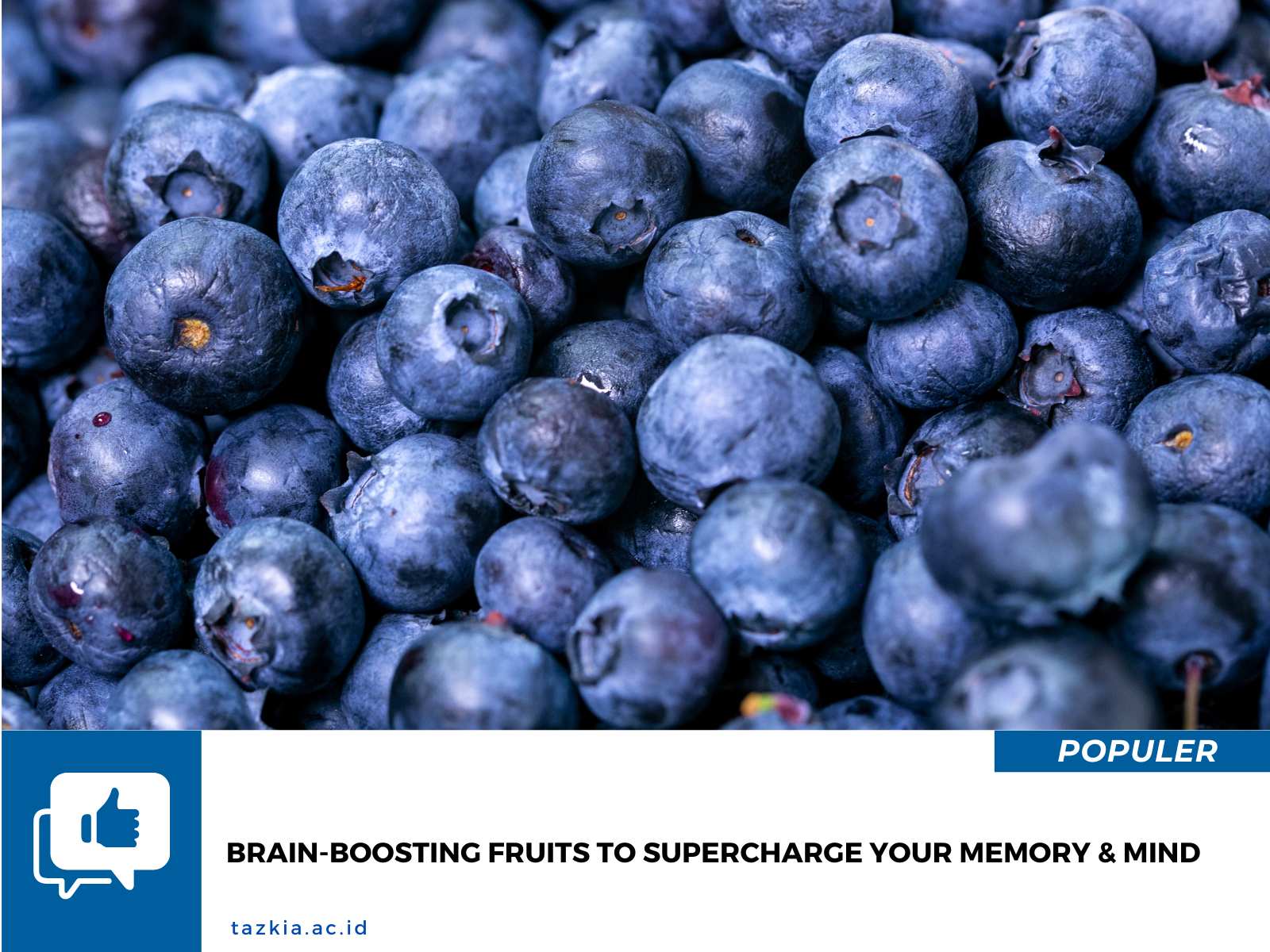 Brain Boosting Fruits to Supercharge Your Memory Mind