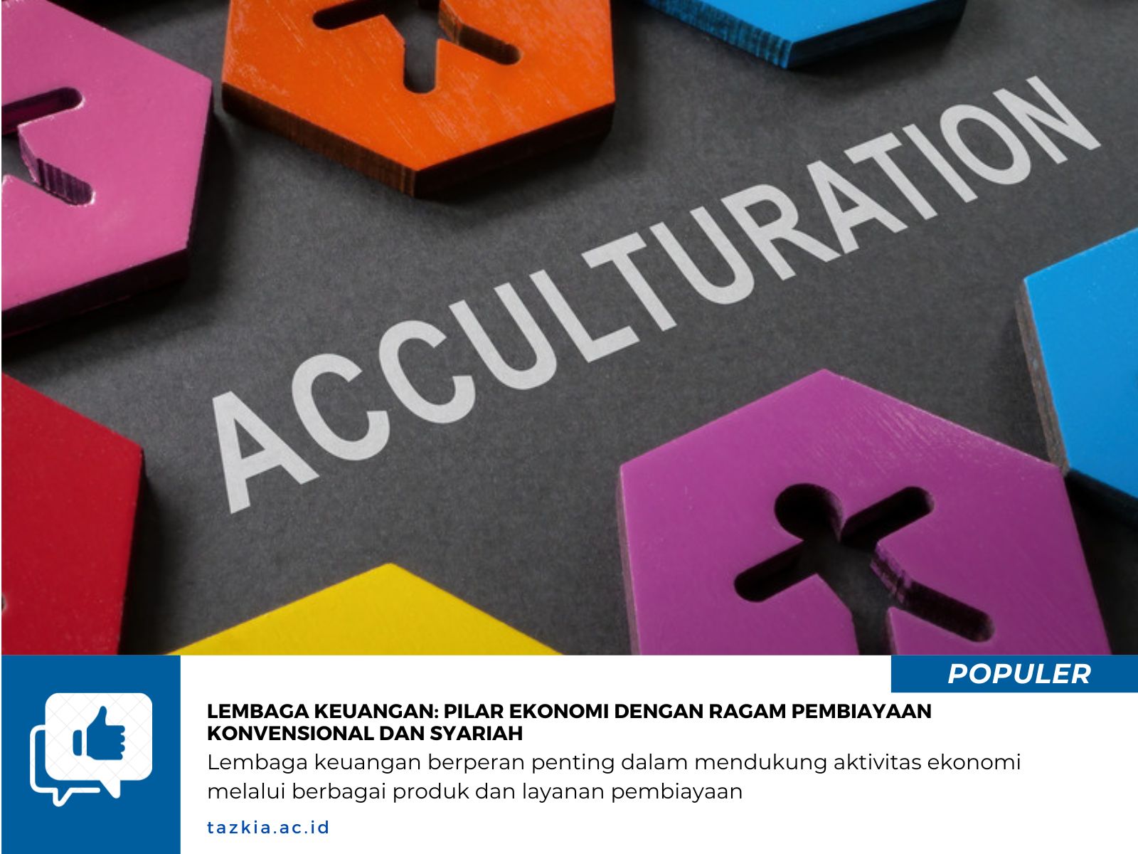 LEMBAGA KEUANGAN: PILAR EKONOMI DENGAN RAGAM PEMBIAYAAN KONVENSIONAL DAN SYARIAH